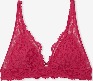 Reggiseno 'Legende' di ETAM in rosa: frontale