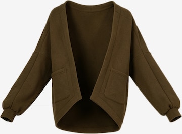 yoligex Bluza polarowa 'YOLIGEX Lockere Strickjacke Grün V-Ausschnitt Überkreuzdesign mit Taschen' w kolorze zielony: przód