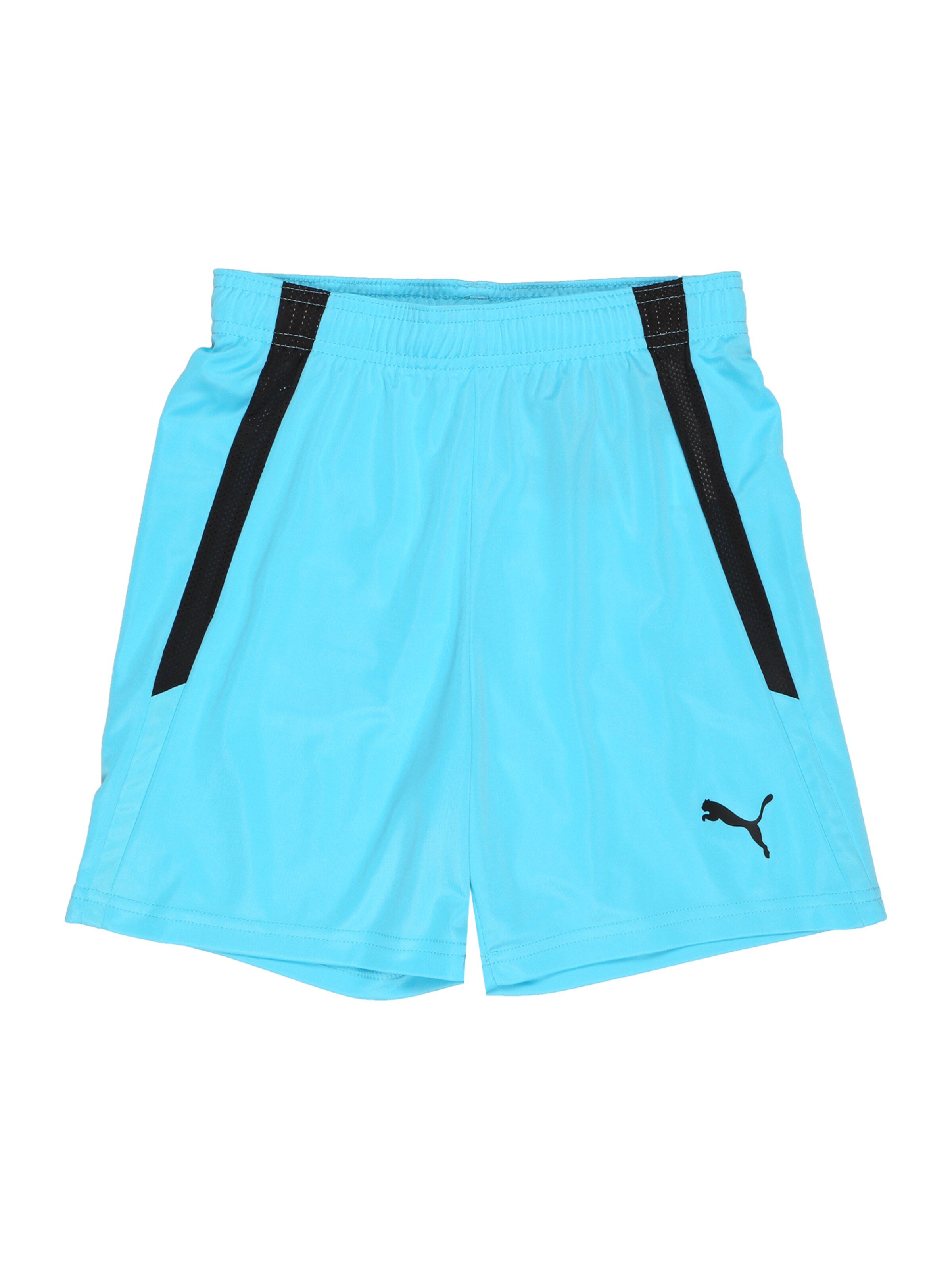 Pantalon de sport 'TeamLiga' PUMA en bleu : devant