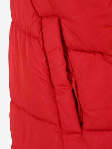 Jack & Jones Plus Vest 'CHILI' in Red