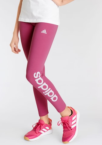 ADIDAS SPORTSWEAR Tapered Sports trousers 'Essentials Linear Logo ' in Pink: front