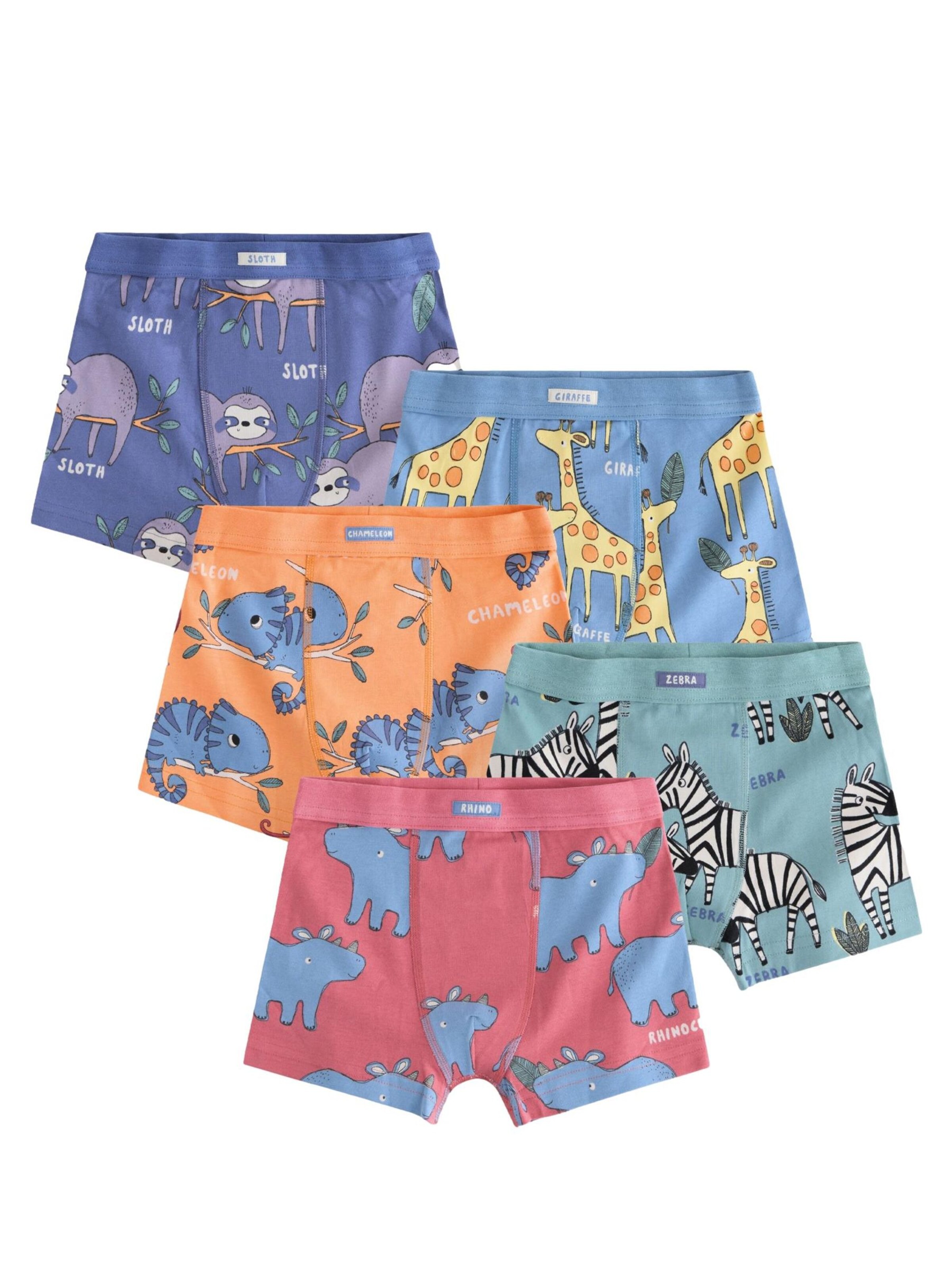 Next Spodní prádlo – mix barev: přední strana