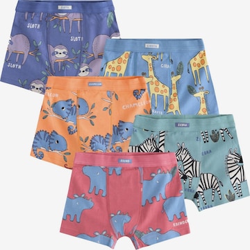 Next Трусы в Смешанный: спереди