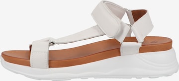 ILC Sandalen met riem in Wit: voorkant