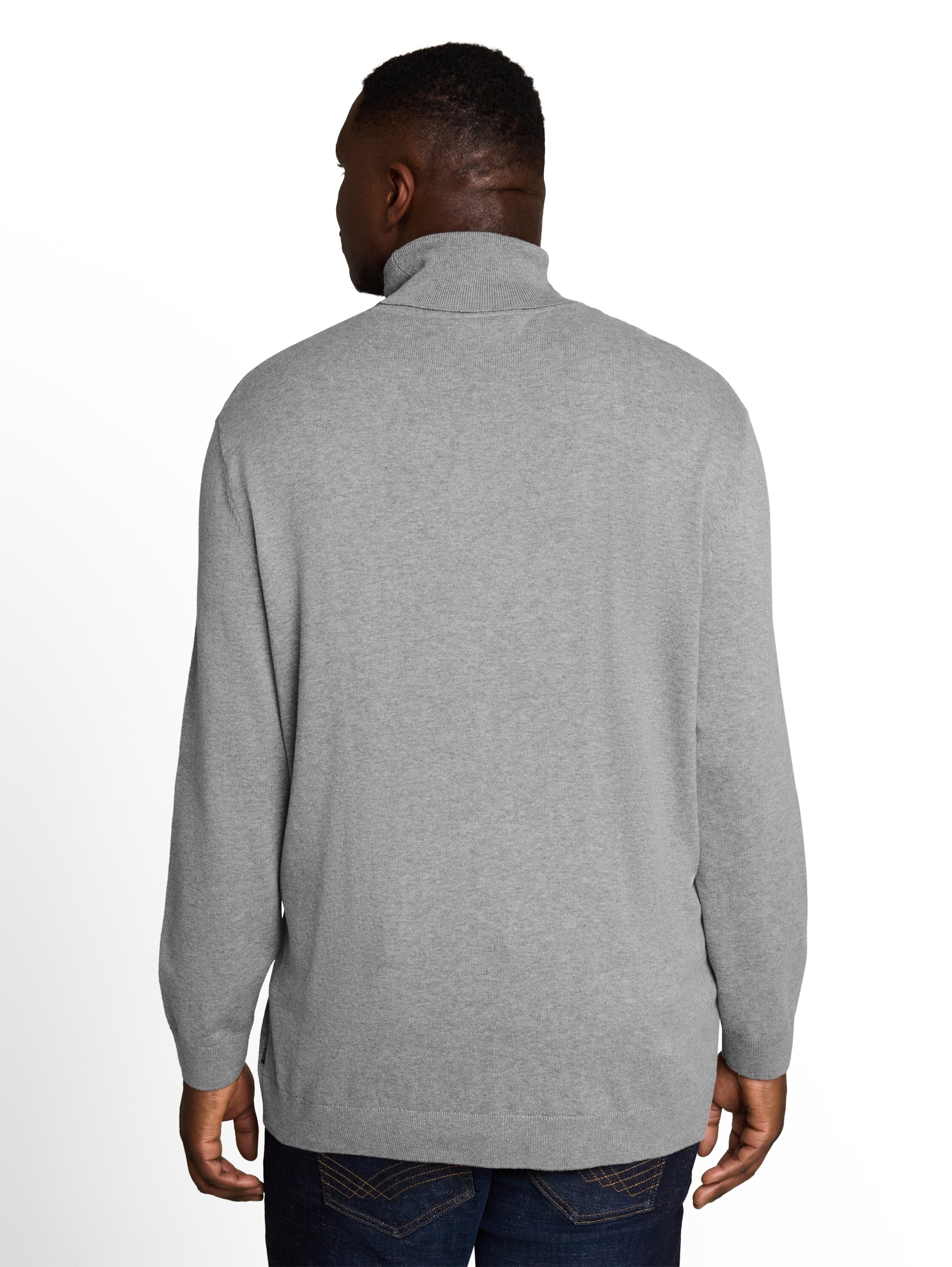 TOM TAILOR Men + Sweater in Grey