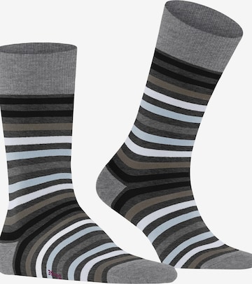 FALKE Socks 'Tinted Stripe' in Black: front