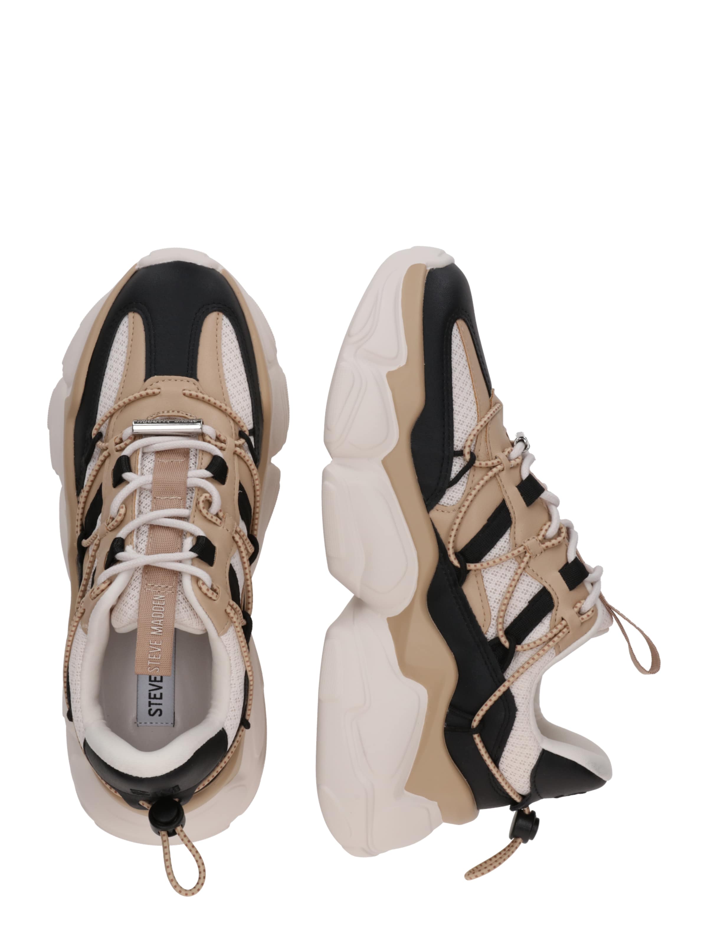 STEVE MADDEN Sneaker low 'SPECTATOR' i beige