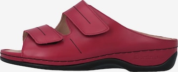 BERKEMANN Mule 'Daria' in Red: front