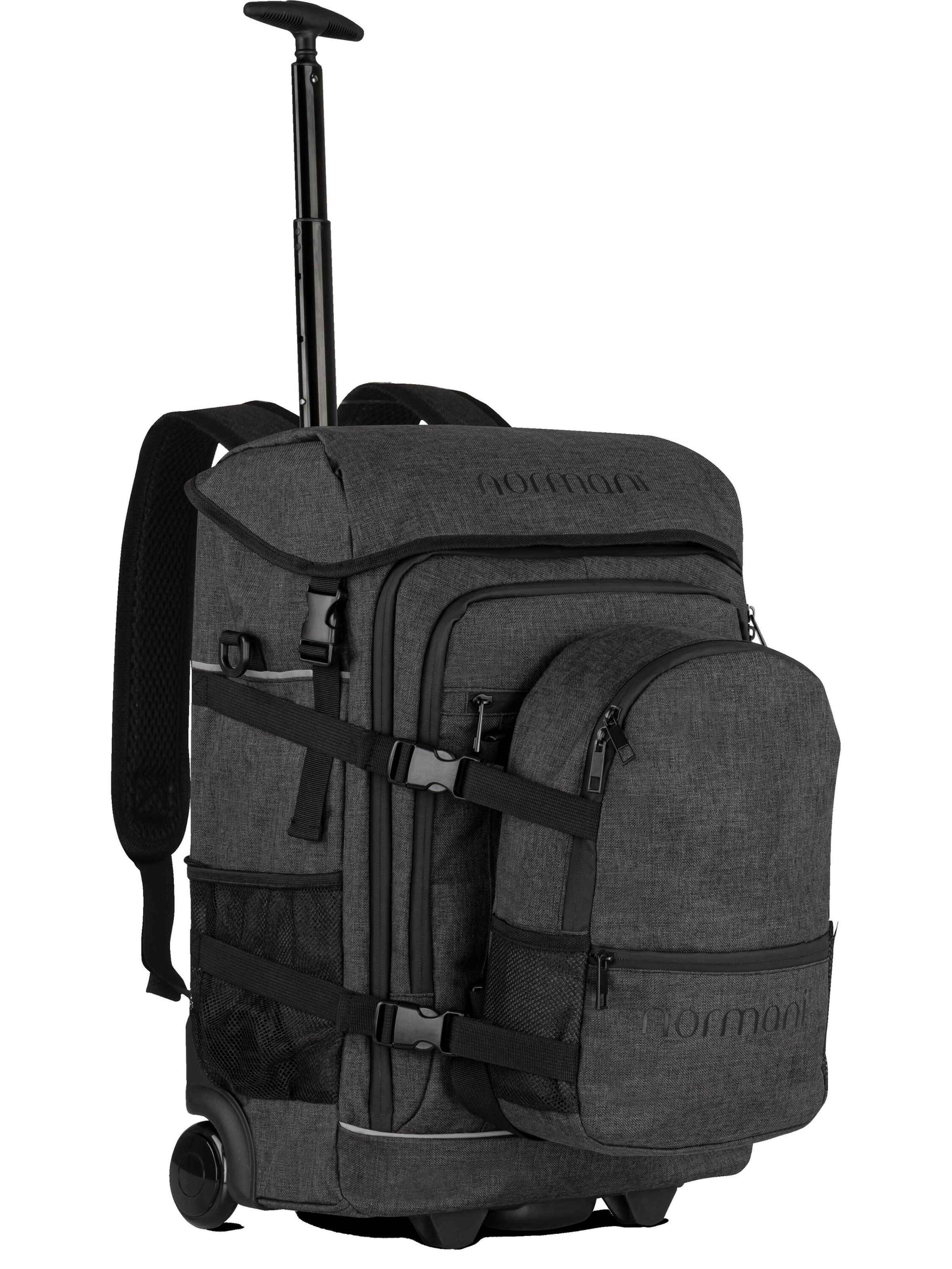 normani Trolley in Grau: Vorderseite