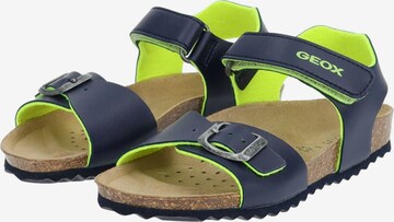 GEOX Sandals & Slippers in Blue