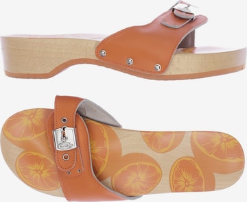 SCHOLL Sandalen 39 in Orange: predná strana