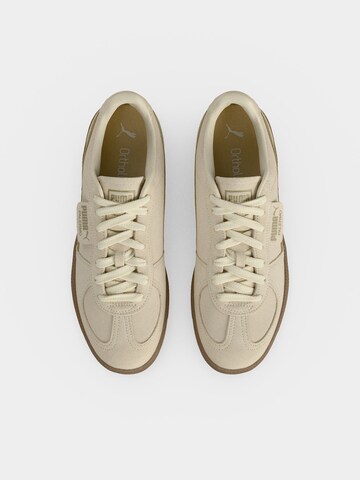 PUMA Sneaker 'Palermo' in Beige: Rückseite