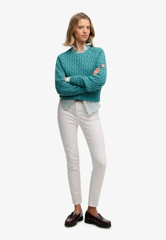 Superdry Trui in Groen