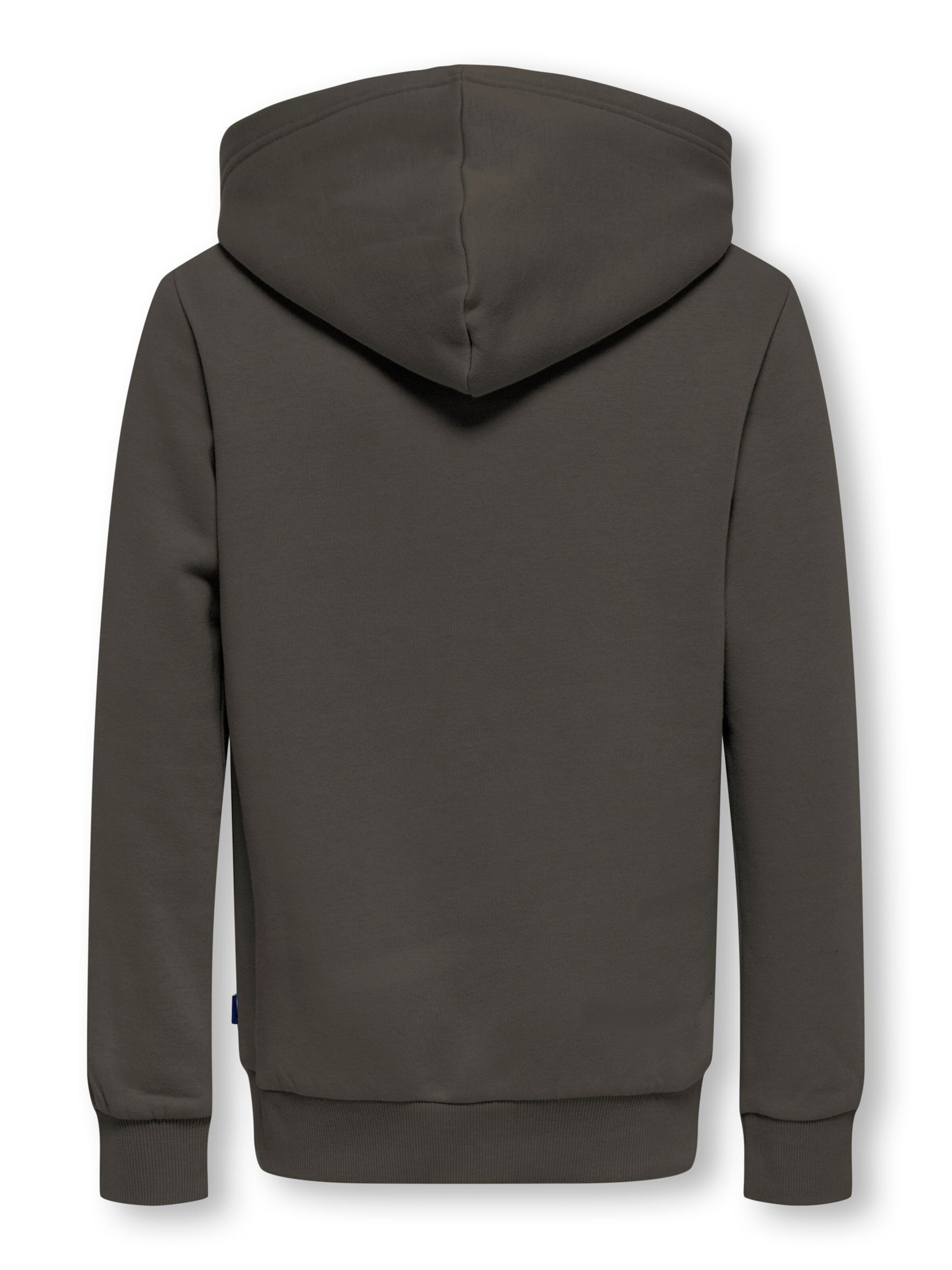 Only & Sons Junior Sweatshirt 'OSJCeres' in Grey
