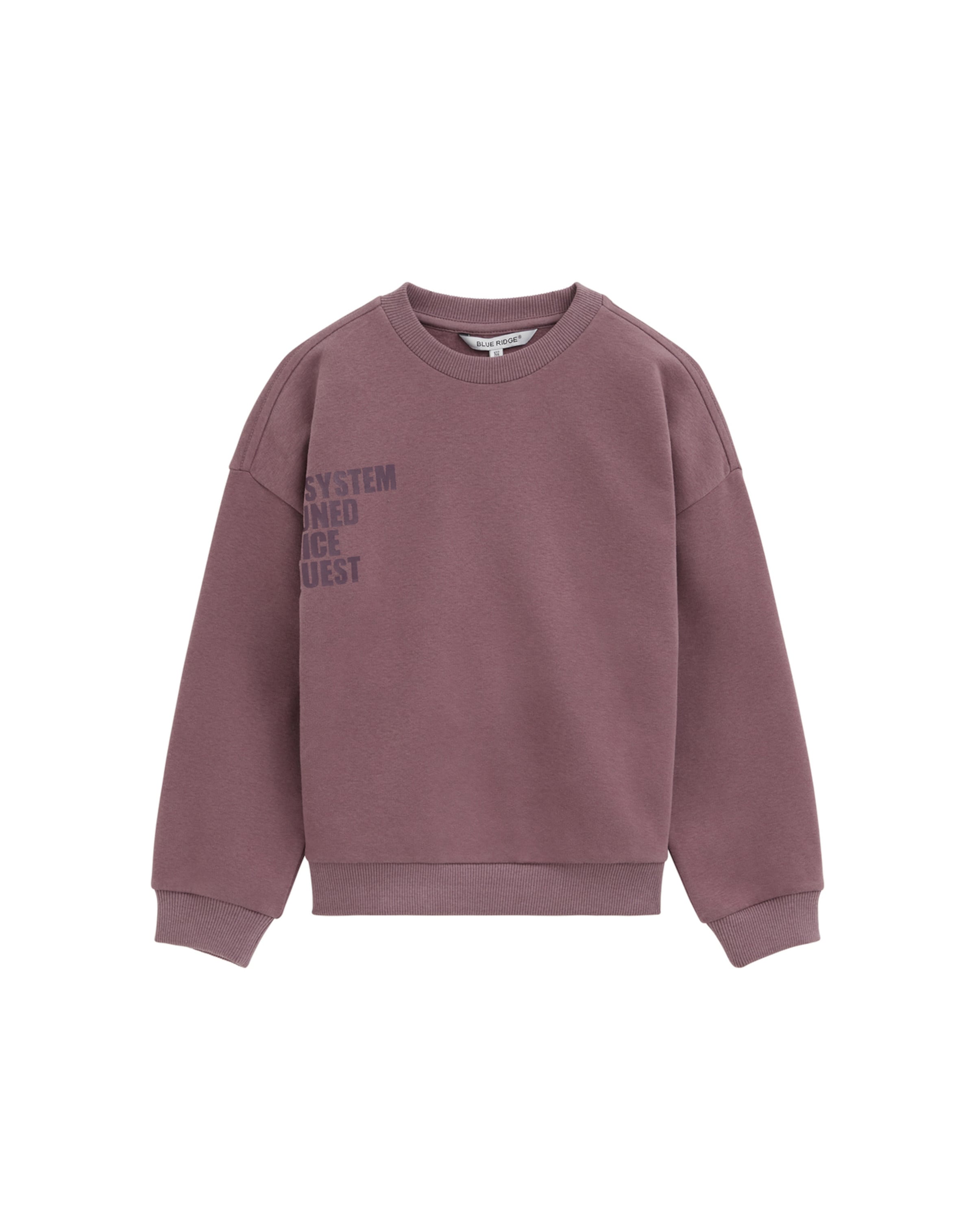WE Fashion Sweatshirt in Lila: voorkant