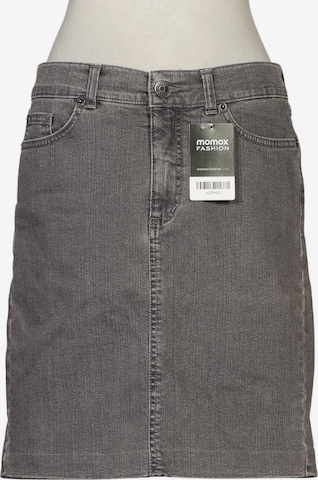 Angels Skirt in L in Grey: front