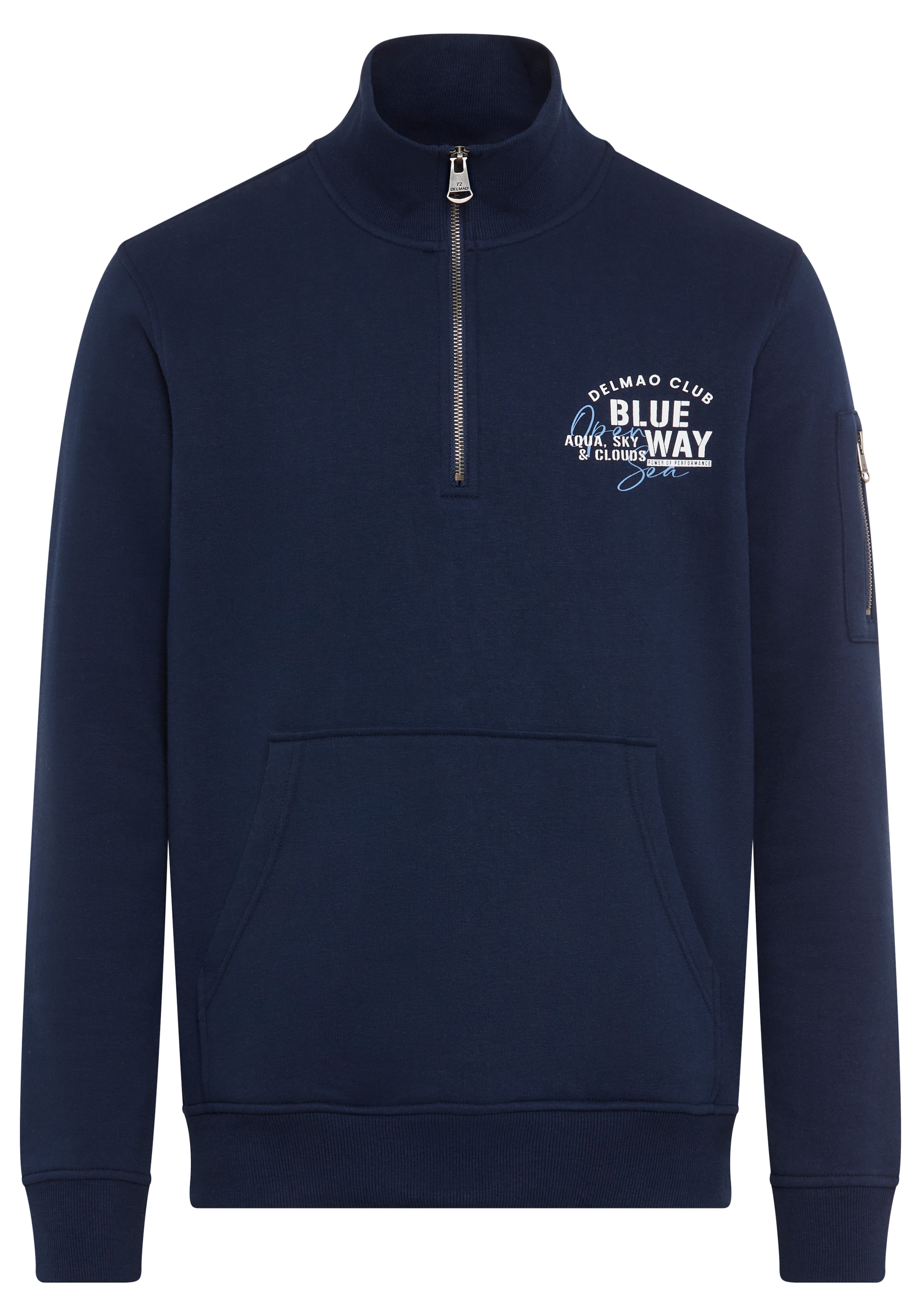 DELMAO Sweatshirt in Blau: Vorderseite