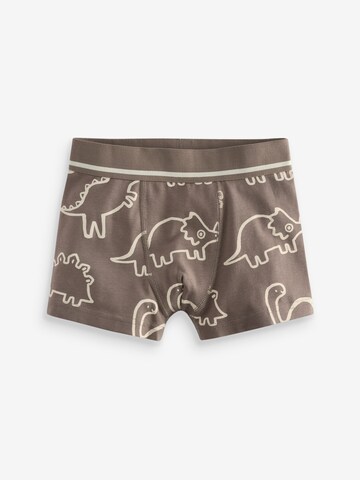 Next Underpants in Blue