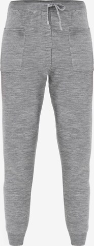 Jimmy Sanders Tapered Trousers in Grey: front