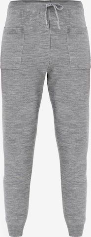 Tapered Pantaloni di Jimmy Sanders in grigio: frontale