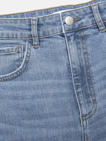 Cellbes of Sweden Klederdracht rok in Blauw