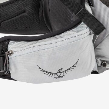Osprey Backpack 'Tempest 24' in Grey