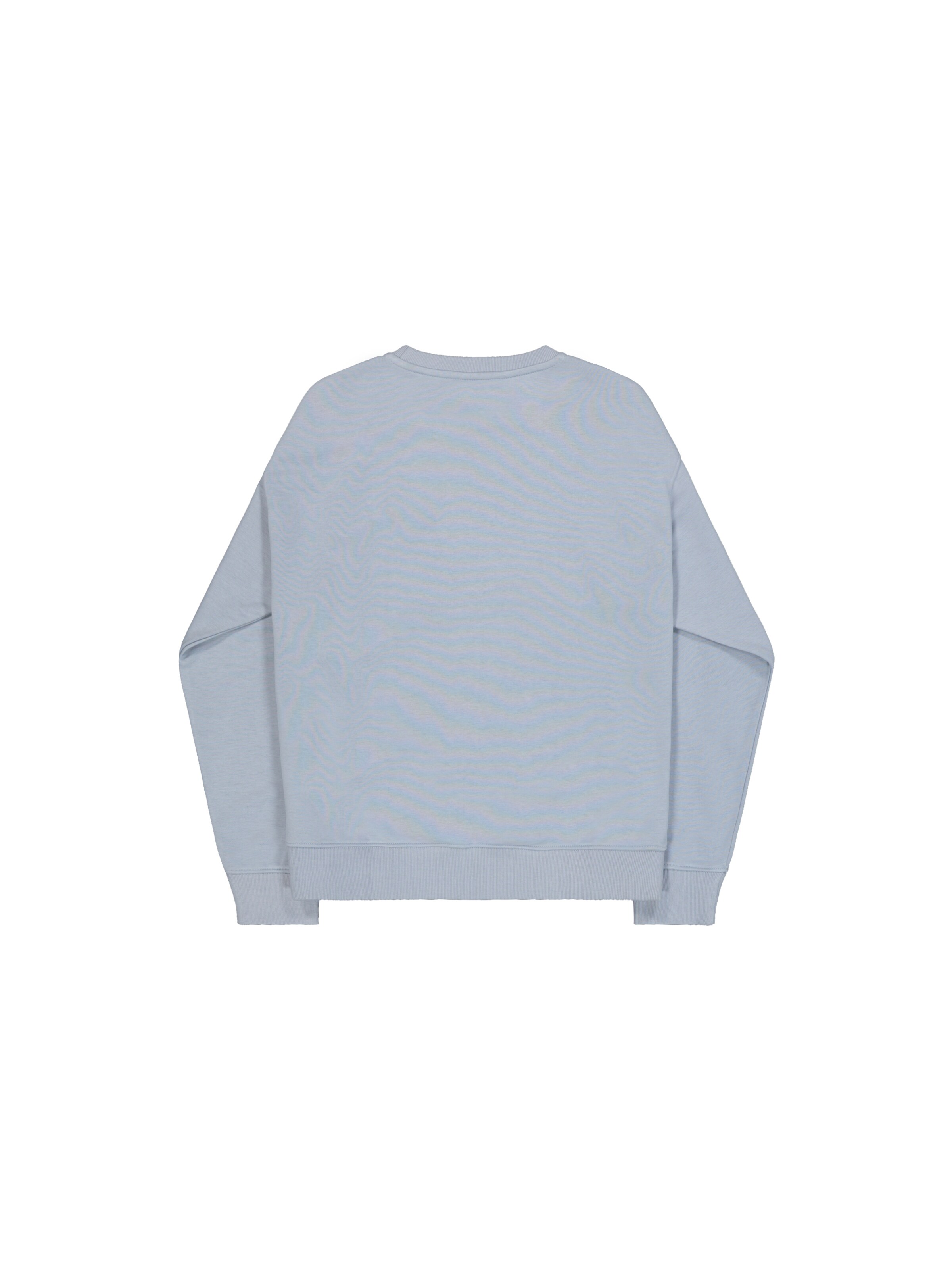 ALPHA INDUSTRIES Sweatshirt 'DTM' in Grey: back