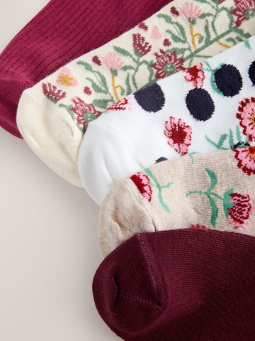 Next Socks in Mixed colours
