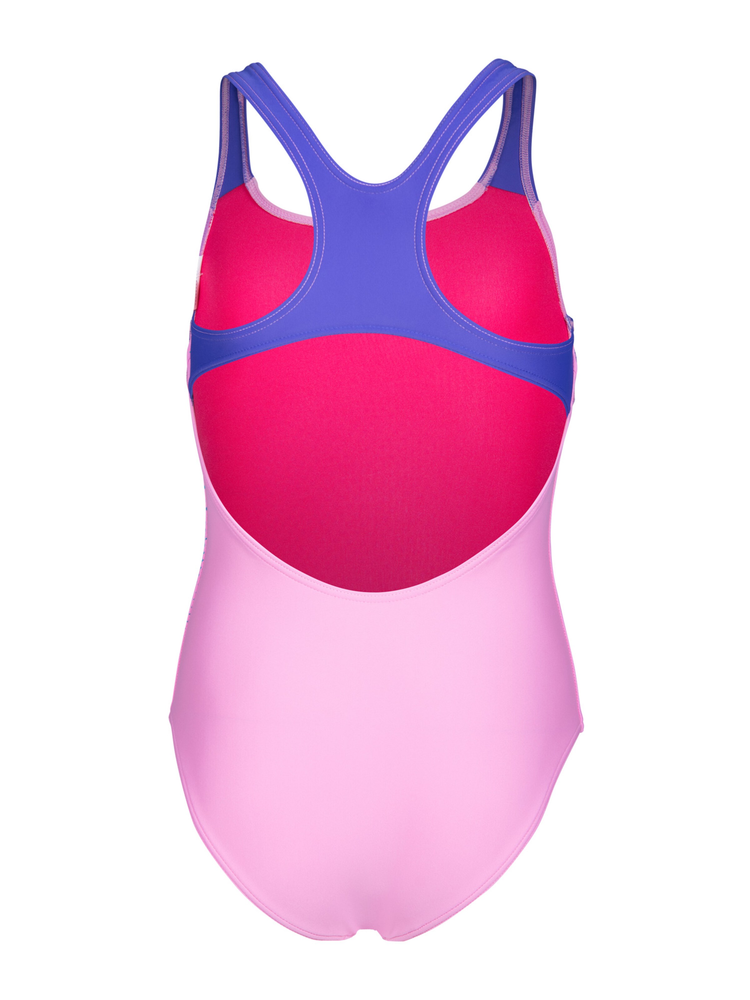 ARENA Swimsuit 'DIM LIGHT' in Pink