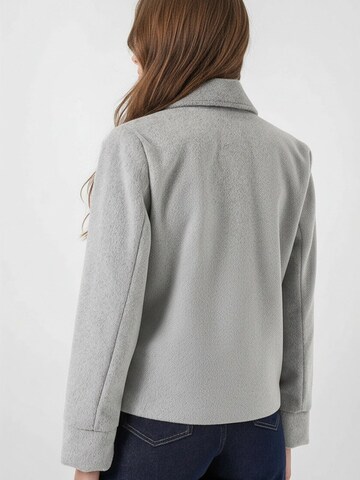 Veste d’hiver 'Jacken' Bigdart en gris