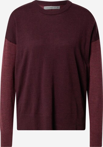 ICEBREAKER Sportpullover in Rot: predná strana