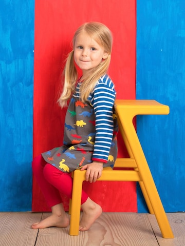 Toby Tiger Dress in Grey
