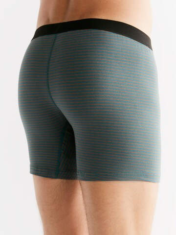 Albero Natur Boxer shorts in Green