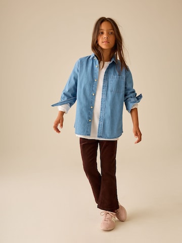 Flared Pantaloni di Next in marrone