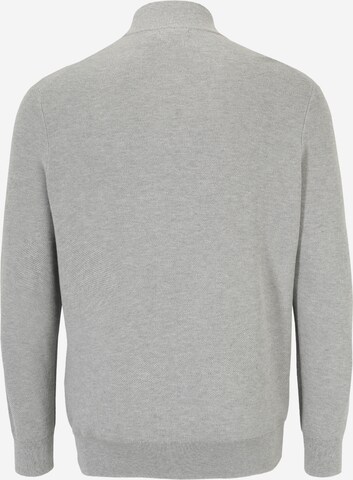 Polo Ralph Lauren Sweatshirt in Grau