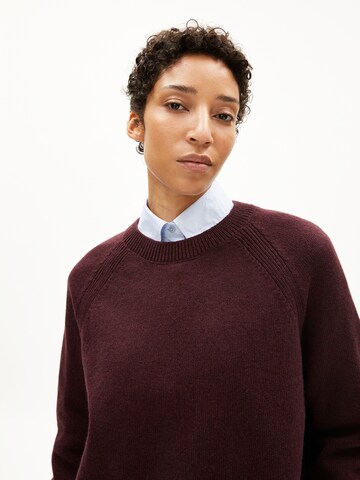 ARMEDANGELS Strickpullover LILIRIAA REGLANA in Rot