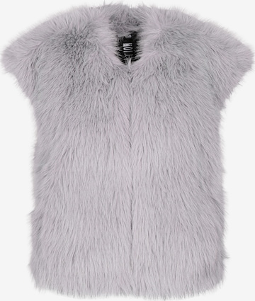 FREAKY NATION - Chaleco ' Cozy Fake Fur Vest ' en gris: frente