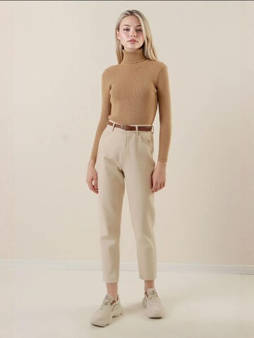 Bigdart Sweater in Beige