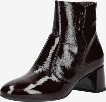 Bottines Nero Giardini en noir : devant
