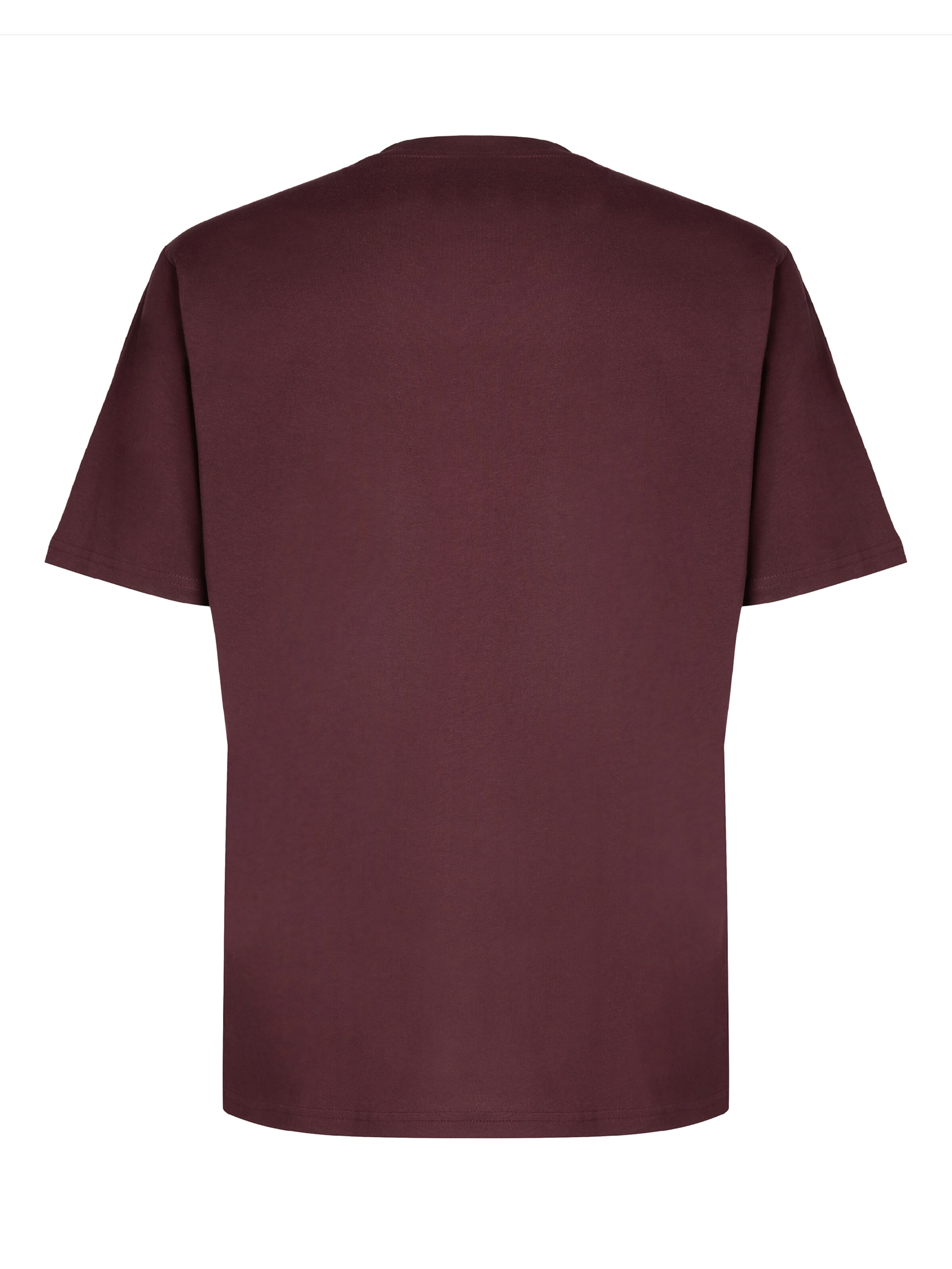 DICKIES - Camiseta 'Mapleton' en marrón