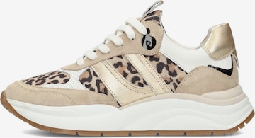 Baskets basses PS Poelman en beige : devant
