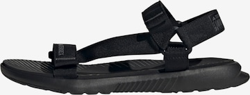 Sandales ADIDAS TERREX en noir : devant