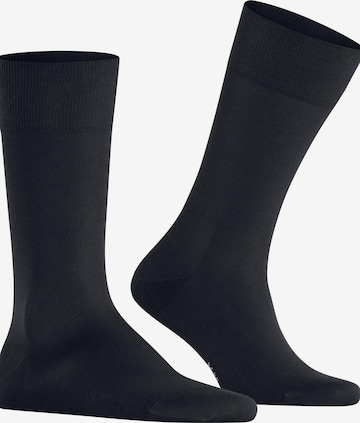 FALKE Socks 'Cool 24/7' in Blue: front