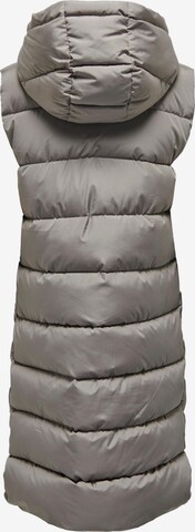 JDY Bodywarmer 'Viskas' in Bruin