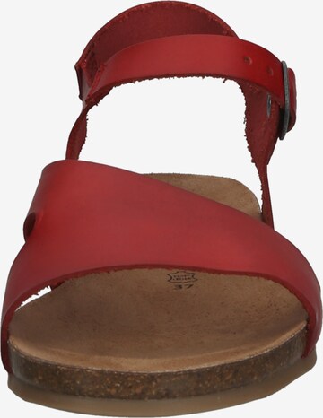 COSMOS COMFORT Sandaal in Rood