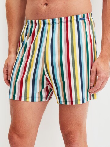 CALIDA Boxer shorts in Yellow