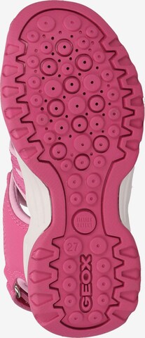 GEOX Sandale in Pink