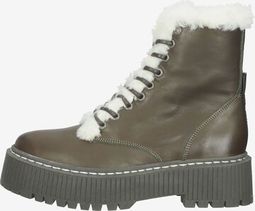 STEVE MADDEN Veterlaarsjes in Groen