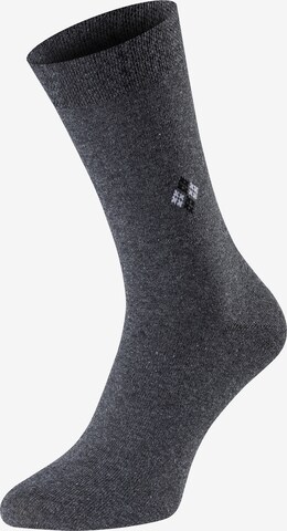 Chili Lifestyle Socks ' Dr. Götz Business ' in Mixed colors