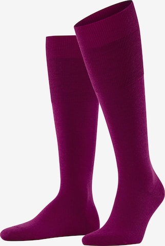 FALKE Knee High Socks 'Airport' in Pink: front